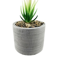 Ventes en gros de pots de fleurs en ciment de forme ronde pour plantes d'intérieur, catégorie des fabricants : pots de fleurs