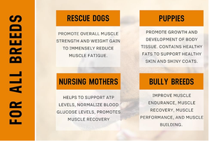 Suplemen hewan peliharaan Logo pribadi suplemen hewan peliharaan Protein tinggi bubuk penebal otot anjing suplemen pembuat otot - Product Image 6