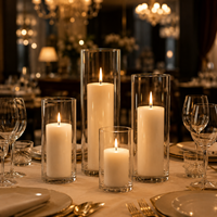 Bouteille en verre épaissi, support de bougie créatif, bouteille vide, grand vase, pot transparent, bouteille pour plantes, poissons et paysages d'intérieur