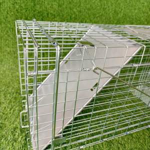 Jaula trampa para animales vivos humana de gran oferta galvanizada plegable de alta calidad para Conejo, zorro, mapache, mofeta, perro, <span class=keywords><strong>Lobo</strong></span> - Product Image 2