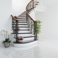 Rampe en fer forgé sculptée de style européen classique, résistante aux intempéries, pour couloir extérieur, décorative