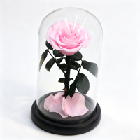 Rose éternelle artisanale préservée sous cloche en verre avec boîte cadeau pour Thanksgiving, Noël ou décoration d'événements