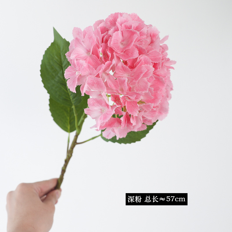 Rose profond