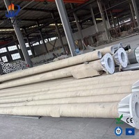 Poste de Alumbrado Público Cónico de 10m con Brazo Único XUYIDA Q235 para Iluminación Vial