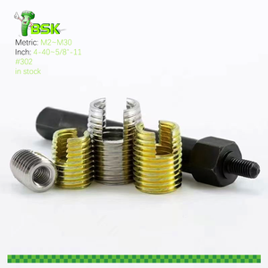 Type 302 Hex <strong>Socket</strong> Slotted Threaded Self Tapping <strong>Insert</strong> Thread Nut Furniture Wood Thread <strong>Insert</strong> - Product Image 5