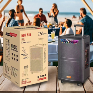 NDR-515 chuyên nghiệp 15-inch BT Stereo Hifi bằng gỗ không dây karaoke Loa điện lớn bass Xe đẩy ngoài trời bên máy tính sử dụng - Product Image 3