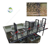 Équipement de traitement de l'eau pour l'élevage de truites, incubateur automatique d'œufs de tilapia, système de jarre pour ferme piscicole