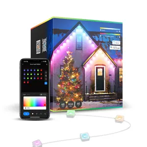 Nanxin Manufacturer Smart RGBIC IP67 Outdoor Waterproof Led Permanent Holiday Christmas Decor Remote Control Point Lights