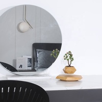 Approvisionnement d'usine Air Bonsaï Pot Mini Modèle En Plastique Cycas Revoluta Lévitation Magnétique Flottant Fleur Arbre Pas Cher Plantes De Bois Vivantes