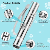 Vente en gros d'usine : Jouet d'entraînement pour chat et chien, écologique, avec lumière LED, baguette laser interactive USB pour animaux de compagnie, en métal