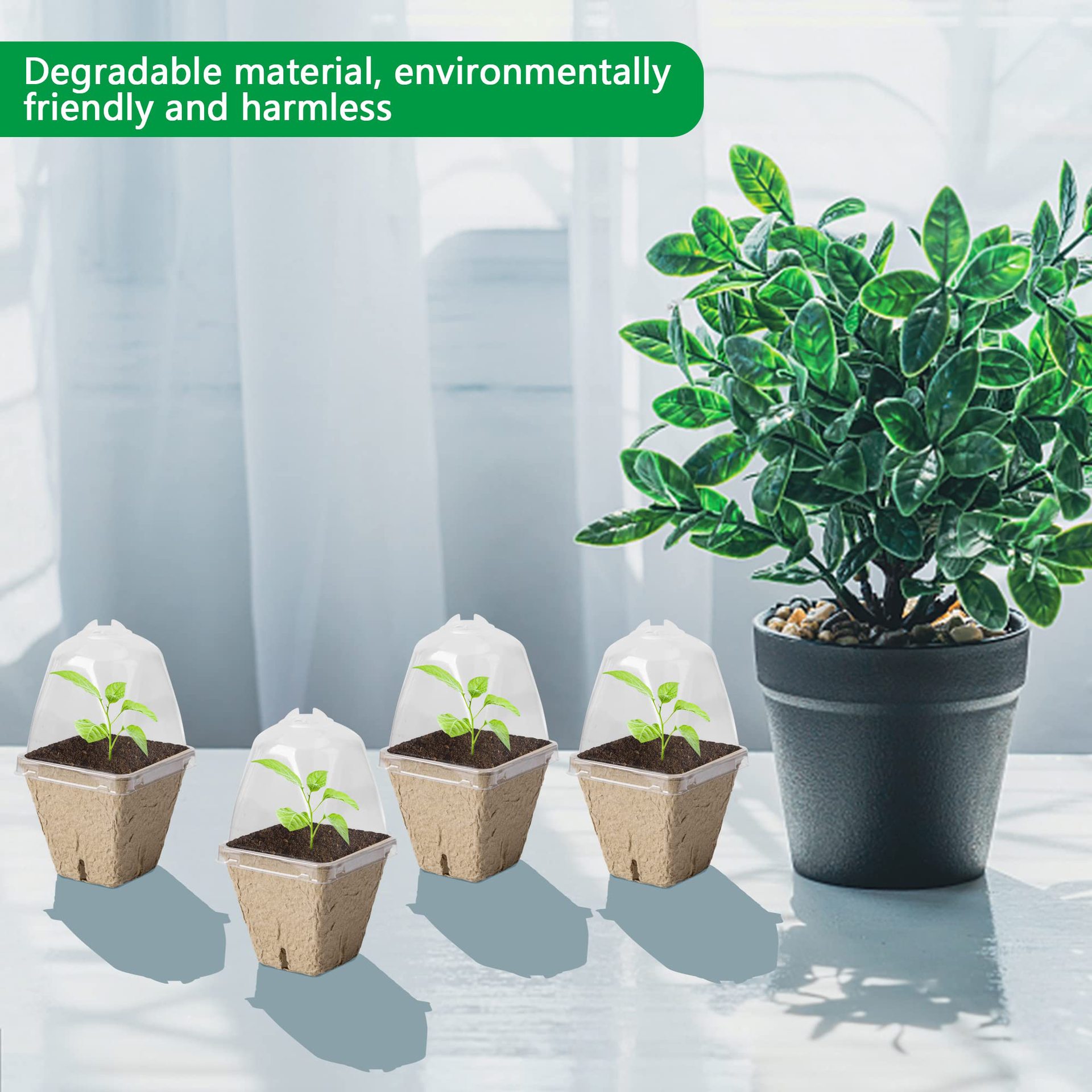 Cheap Price Seeding Starter Peat Pots with Humidity Dome