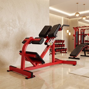 Équipement de musculation commercial REYK, banc d'extension dorsal Roman Chair - Cadre en acier réglable, design robuste et sûr - Product Image 6
