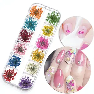 12 pièces/boîte 3d bricolage fleurs séchées nail art décorations vraies fleurs séchées autocollants manucure breloques conceptions pour ongles accessoires