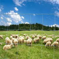 Grillage galvanisé haute résistance pour clôture de bétail, filet de protection durable pour fermes et champs, idéal pour l'élevage de moutons, chevaux et autres animaux.