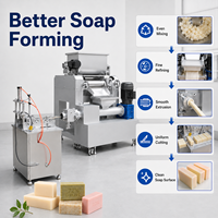 Ligne de production de savon à usage domestique à petite échelle, série DDCT, pour les entreprises en démarrage, formes de savon personnalisables