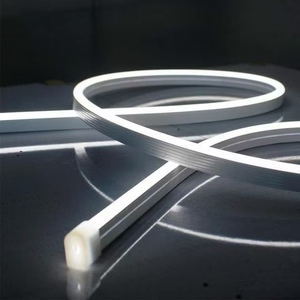 LED Neon Flex IP65 Waterproof 12V Outdoor Landscape <b>Lighting</b> for Hotel & Home Decoration CE Certified - Product Image 3