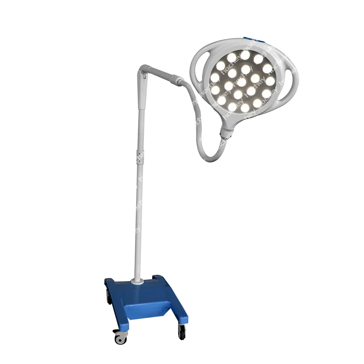 Hochey 의학 잘 고정된 외과 LED 빛 천장 외과 치과 검사 램프 진료소 운영 LED 램프