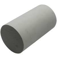 Filtro antiparticolato Diesel in ceramica a nido d'ape a flusso di Cordierite universale personalizzabile