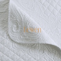 Ensemble de literie léger en microfibre de polyester matelassé solide pour chambre à coucher, antibactérien et ignifuge, 3 pièces, toutes saisons
