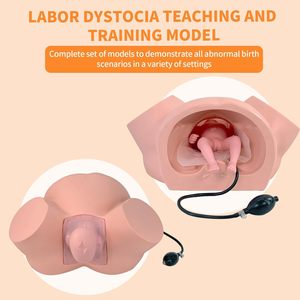 Simulador de Parto a Tamaño Real para Entrenamiento de Partería, Demostración de Parto, <span class=keywords><strong>Obstetricia</strong></span> <span class=keywords><strong>y</strong></span> <span class=keywords><strong>Ginecología</strong></span>, Fetal Normal <span class=keywords><strong>y</strong></span> Anormal - Product Image 4