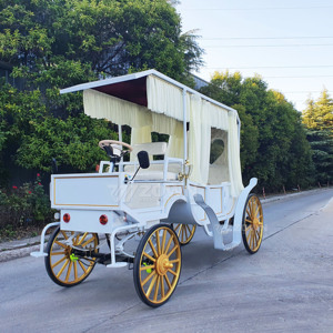 White Golden Electric Wedding Carriage Heart Window <b>Sheer</b> <b>Curtain</b> Canopy Romantic Sightseeing Parade Cart - Product Image 5