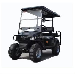 Voiturettes de golf électriques 2 places dédiées avec batteries 48V/60V/72V offrant un service de personnalisation et de traitement OEM - Product Image 5