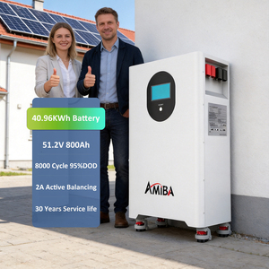 2026 New 51.2V 800ah Lithium 40kWh Movable Household Solar System Energy Storage <b>Batteries</b> - Product Image 1