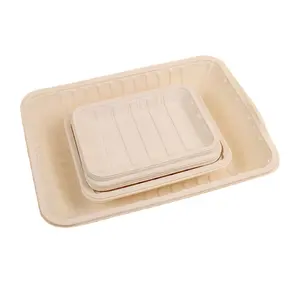 Bandeja rectangular de comida de almidón de maíz biodegradable desechable ecológica de fábrica de Anhui para fiesta de cumpleaños y Navidad