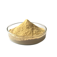 Hunan Huakang Supply Extrait de levure en vrac Arn Nutrition Supplément Poudre d'acide ribonucléique