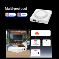 SIXWGH THP10-Z Gateway Zigbee 3.0 con Cable, RJ45 Ethernet, Hub Tipo C, Tuya Smart Life, 128 Dispositivos para Hogar, Hotel, Proyecto