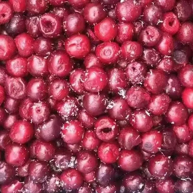 Bulk Frozen Fresh Red Cherry Fruit for Sale