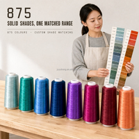 Fil à broder acrylique solide aspect naturel 24S 2 brins 875 couleurs 3000 yards Broderie plate Vente en gros OEM