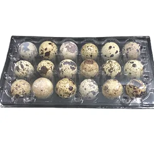 Factory price 18 quail egg trays/plastic egg tray for sale