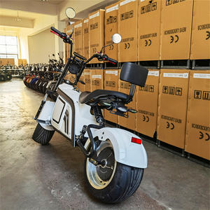 Venta al por Mayor, <span class=keywords><strong>Precio</strong></span> de Fábrica en China, Motocicleta Eléctrica Citycoco <span class=keywords><strong>2023</strong></span>, Diseño Popular, Motor de 12 Pulgadas - Product Image 6