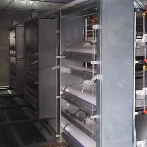 Profesyonel kaliteli <span class=keywords><strong>h</strong></span>-tipi tam otomatik Broiler et tavuk yetiştiriciliği için pil damızlık kafes tavuk <span class=keywords><strong>Coop</strong></span> tayland - Product Image 4