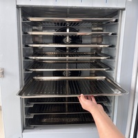 Congélateur à plaques automatique commercial à 10 plateaux avec dégivrage rapide du refroidisseur à soufflage pour le stockage des aliments congelés