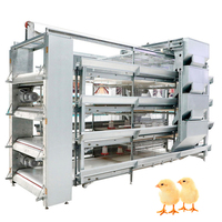 Cage à roulettes automatique pour bébés, équipement pour élevage de volaille, de haute qualité, livraison gratuite
