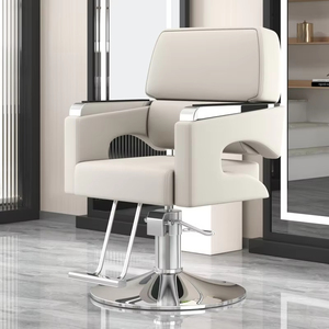 Sillón de Peluquería Moderno de Acero Inoxidable con Características Ajustables para Permanentes, Coloración, Corte, Rotación y Elevación - Uso en Exteriores - Product Image 6