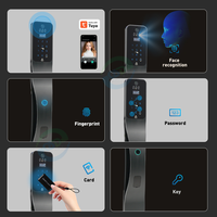 Serrure de porte intelligente à reconnaissance faciale 3D avec mortaise israélienne Tuya App WiFi Serrure automatique intelligente à empreinte digitale pour le marché israélien