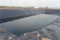Высокопрочная геомембрана из HDPE для укрепления берегов рек, водонепроницаемая мембрана для гидроизоляции плотин