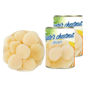 Châtaignes d'eau coupées en tranches de qualité supérieure, en conserve, prêtes à l'emploi, texture croustillante et douceur naturelle, saveur ananas - Product Image 3