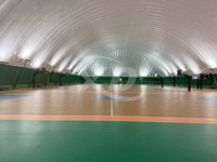 Installation efficace Dôme gonflable de football supporté par air pour divers sports Expédition personnalisée pour musées en tissu PVC