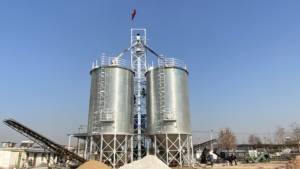 Prix d'un silo de stockage de céréales de 1000 tonnes pour le blé, le maïs et le grain - Product Image 6