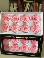 P-2 Witte Ge conserveerde Rozen in een Doos 4-5cm Decoratieve Bloemstukken DIY Ge conserveerde Bloemen Huisdecoratie Bruidsdouche Bloemen