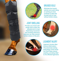 Bottes de refroidissement réutilisables pour chevaux, avec gel de nylon, pour blessures, soulagement de la douleur aux jambes et genoux, thérapie par le froid professionnelle, Classe I, Marque GY, Médical
