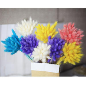 Déstockage d'usine : Herbe à queue de lapin séchée du Yunnan, fleur éternelle 035, en <span class=keywords><strong>sac</strong></span> OPP transparent - Product Image 3