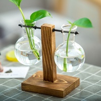 Terrarium Art Déco Classique pour Plantes Aériennes, Pot en Verre de Bureau, Vase en Forme d'Ampoule, Support en Bois, Station de Propagation pour Mariage