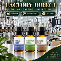 Huile parfumée personnalisée pour diffuseur de voiture, huile de parfum longue durée pour voiture, désodorisant d'air pour voiture, approvisionnement en gros, coffret cadeau d'arômes inspirés des hôtels