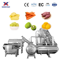 Hoge Efficiëntie 8 ton/uur Aardappel Stoomschil- en Separatiemachine Productiefabriek Stoomschiller