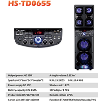 TD0655 Bosinas Amplificada Équipement Sonore/Amplificateurs Grandes Enceintes Karaoké pour Fêtes DJ Extérieures avec 2 Micros sans Fil